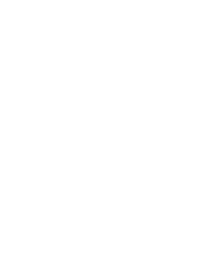 BLUE DRAGON LLC