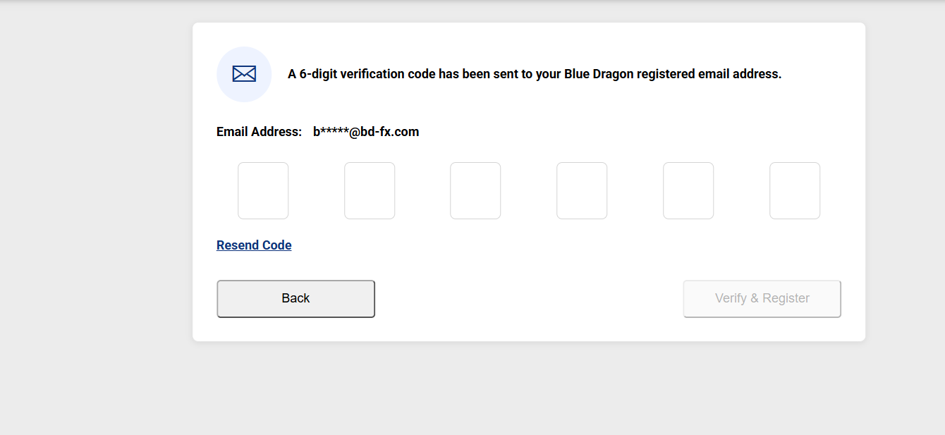 Email verification screen for USDT wallet registration